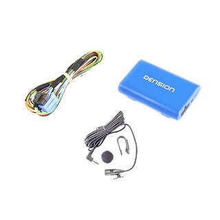 Dension Gateway Lite BT (A2DP) - VAG VW/Skoda m/Beta/Gamma/MCD/MFD++