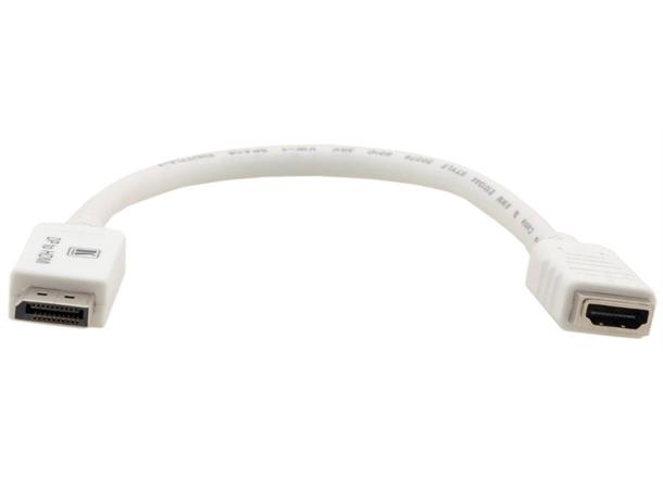 Kramer Adapter DisplayPort > HDMI Videokilde: DP++