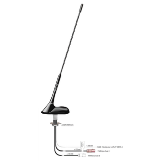 ANTENNENSYSTEME FM/DAB/DVB-T - Fakra Kombiantenne for montering på tak
