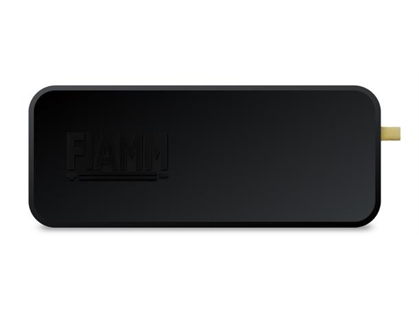 FIAMM DAB/DAB+ MOTTAKER DAB via BT Audio, Aux eller FM-mod*