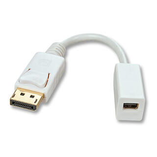 Lindy Adapter DisplayPort > MiniDP Videokilde: DisplayPort