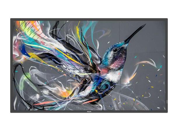 Philips Q-Line 65" UHD Android 400N 18/7 400Nits, HDMI Auto ON/OFF