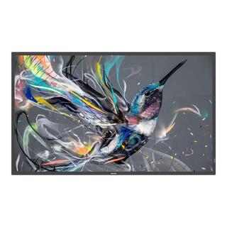 Philips Q-Line 65" UHD uten android 400Niits, HDMI Auto ON/OFF