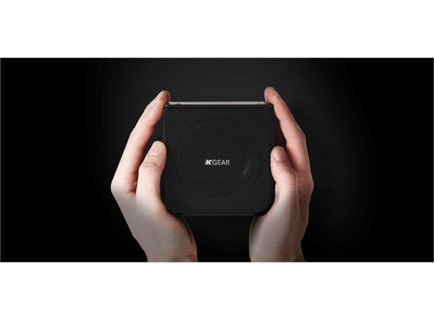 KGEAR GH4-B Passive 4" Array Speaker High Performance Mni ARRAY Speaker