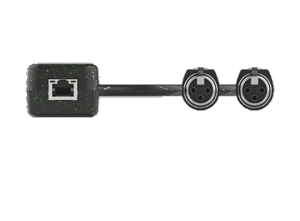 Turtle AV Dante Dual XLR Input Adapter 2 x XLR Hun - Dante Input