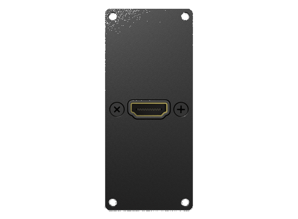 Caymon Casy 153/B 1 space HDMI 2.1 HDMI Pigtail gender