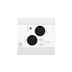 Audac NWP320/W Dante input Dante™/AES67, 2 x XLR + 3.5 mm jack + BT