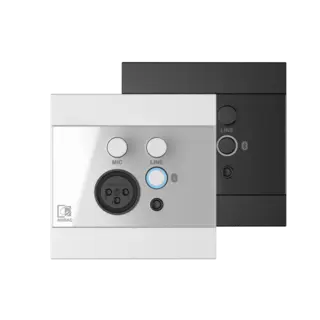 Audac WP225 hvitt multi input panel BT, linje og mic