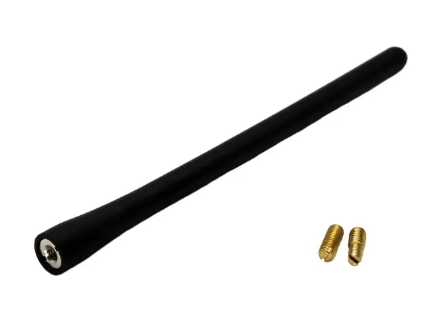 CONNECTS2 Antennepisk DAB/FM 19,5cm lengde (M5/M6) 