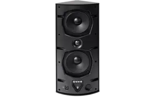 Blaze Audio Ci5-V Black Pair 5,25 woofer slave + 1" dome 100V/8 Ohm