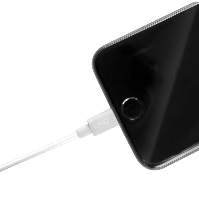 Lindy Adaptekabel USB -> Lightning 0,5 m USB til Apple Lightning 