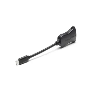 Superio Single Adapter Pigtail USB C