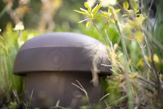 Sonance OMNI-6T utendørs høyttaler Perfekt i åpne landskap og bed, stk.