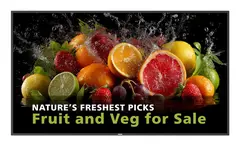 Philips 98" D-Line 600nits 24/7 D-Line 5000 Series / 600 cd/m² Android