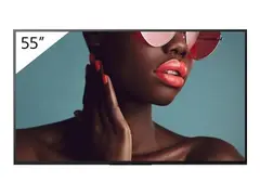 SONY FW-55BZ40L Bravia LCD 55inch 4K HDR 24/7 Airplay Chromecast 700 Nits Haze